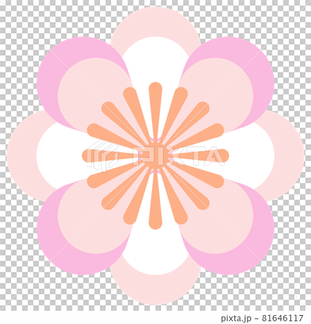 Simple pink flower illustration Simple pink flower illustration 81646117
