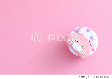 cupcake isolated in pink background cupcake isolated in pink background 81646188