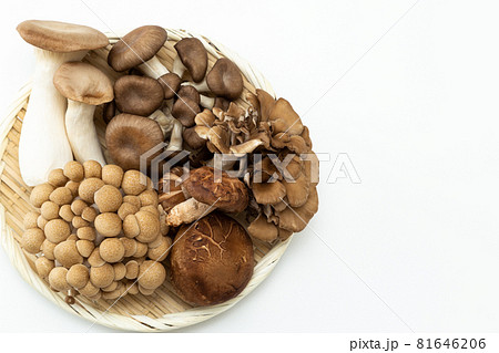 きのこ　白バック 81646206