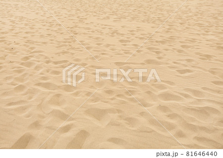 Soft sand beach with many disappearing footprints. Soft sand beach with many disappearing footprints. 81646440