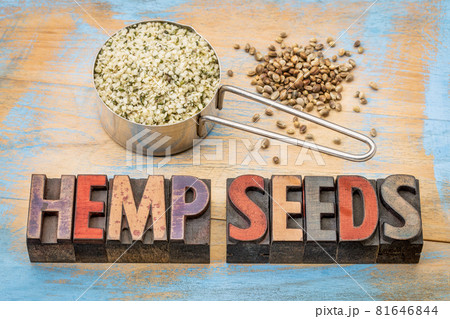 hemp seeds scoop and typography 81646844