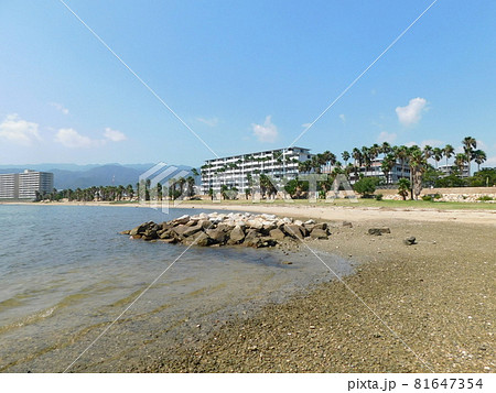 香櫨園浜全景(兵庫県西宮市で2021年8月撮影) 香櫨園浜全景(兵庫県西宮市で2021年8月撮影) 81647354