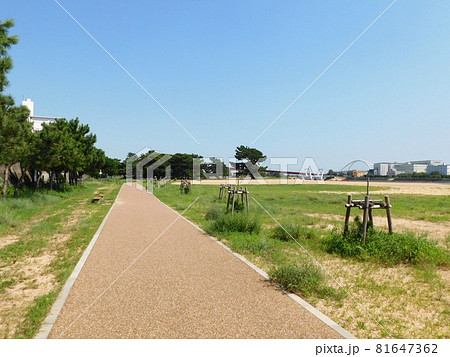 夏の御前浜公園(兵庫県西宮市で2021年8月撮影) 夏の御前浜公園(兵庫県西宮市で2021年8月撮影) 81647362