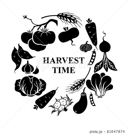 Harvest time greeting icon 81647874