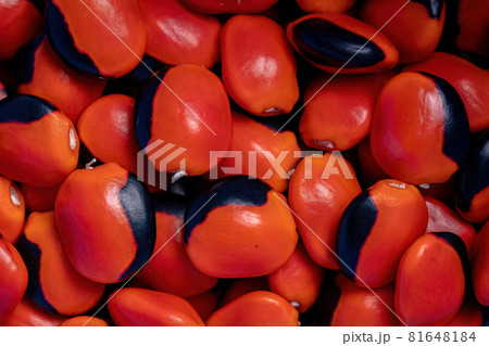 Some red seeds Some red seeds 81648184
