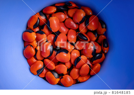 Some red seeds Some red seeds 81648185