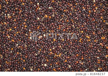 black quinoa grain 81648237