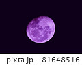 紫の月 81648516