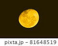黄色い月 81648519