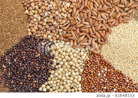 gluten free grains  abstract 81648533