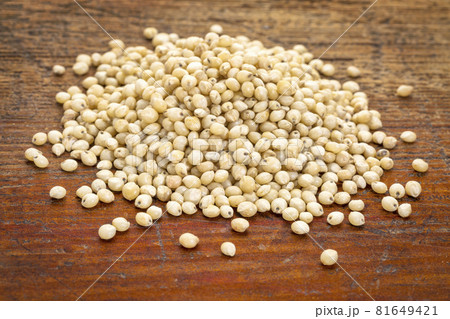 white sorghum grain white sorghum grain 81649421