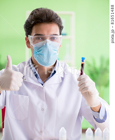 Man chemist working in the lab 81651488