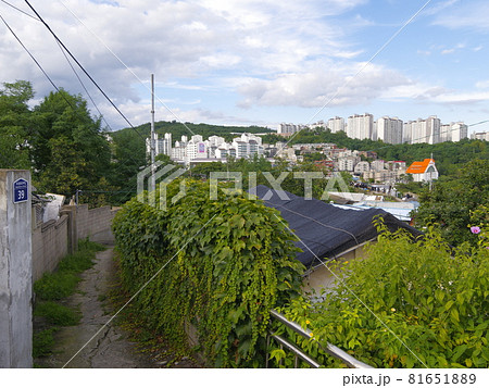 時価 都市 都会 81651889