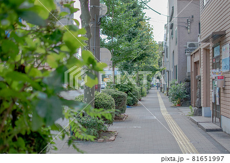 本郷通り沿い／東京都北区西ヶ原 81651997