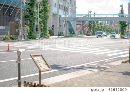 旧古川庭園前/東京都北区西ヶ原 旧古川庭園前/東京都北区西ヶ原 81652000