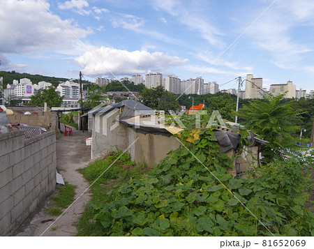 道路 裏通り 猫 81652069