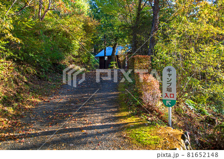 城峯公園　秋の風景　紅葉の季節　　 81652148