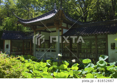 北山緑化植物園の北山墨華亭(兵庫県西宮市) 北山緑化植物園の北山墨華亭(兵庫県西宮市) 81652667