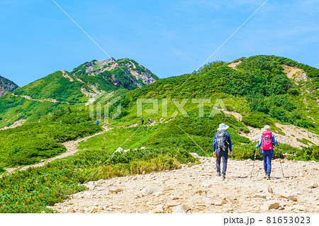 夏の唐松岳登山：丸山ケルン～唐松岳頂上山荘 81653023