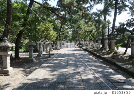 長浜八幡宮参道 81653359