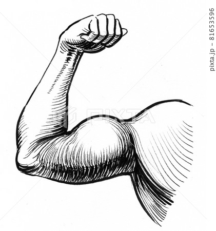 Strong hand flexing biceps. Ink black and white drawing Strong hand flexing biceps. Ink black and white drawing 81653596