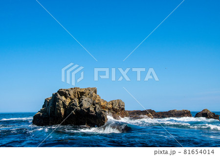 三陸復興国立公園　みちのく潮風トレイル　碁石海岸　雷岩・乱曝谷展望台下の岩礁 81654014