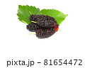 five organic Mulberry fruits with green leaves isolated on white background. 81654472