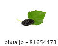 organic Mulberry fruits with green leaves isolated on white background. 81654473