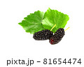organic Mulberry fruits with green leaves isolated on white background 81654474