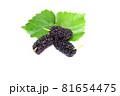 organic Mulberry fruits with green leaves isolated on white background. 81654475
