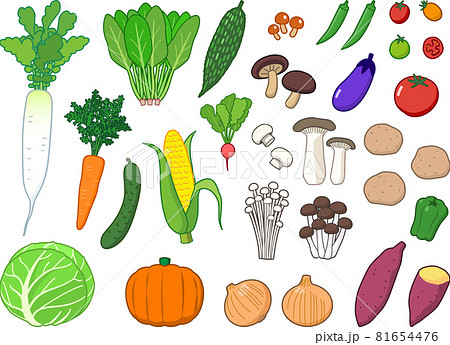 いろいろな野菜のかわいいイラストセットのイラスト素材
