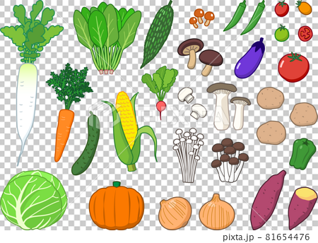 いろいろな野菜のかわいいイラストセットのイラスト素材
