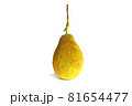 jackfruit vertical  isolated on a white background 81654477