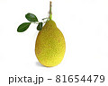 jackfruit vertical isolated on a white background 81654479