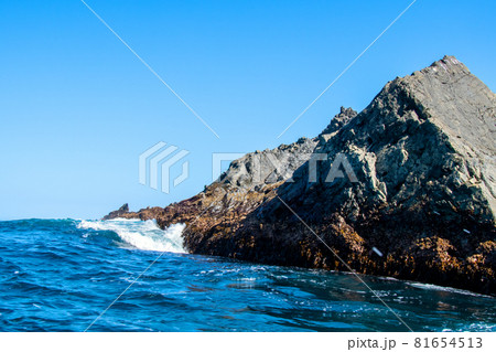 三陸復興国立公園　みちのく潮風トレイル　碁石海岸　岩礁　千代島 81654513