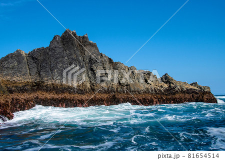 三陸復興国立公園 みちのく潮風トレイル 碁石海岸 岩礁 千代島 三陸復興国立公園 みちのく潮風トレイル 碁石海岸 岩礁 千代島 81654514