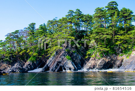 三陸復興国立公園 みちのく潮風トレイル 碁石海岸 堆積岩 三陸復興国立公園 みちのく潮風トレイル 碁石海岸 堆積岩 81654516