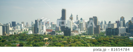 Public park and high-rise buildings cityscape in metropolis city center Public park and high-rise buildings cityscape in metropolis city center 81654784
