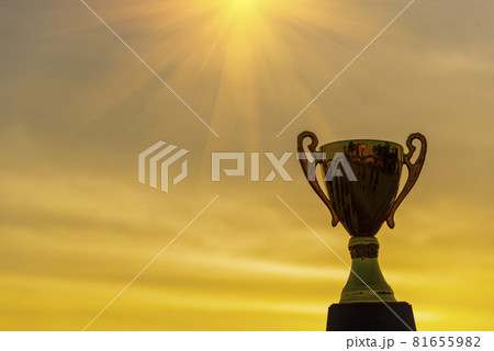 Sport Silhouette trophy best man Winner Award victory trophy for professional challenge. Golden Trophy cup champion contest win sport award reward gold prize. Win-Win business conquering Challenge Sport Silhouette trophy best man Winner Award victory trophy for professional challenge. Golden Trophy cup champion contest win sport award reward gold prize. Win-Win business conquering Challenge 81655982