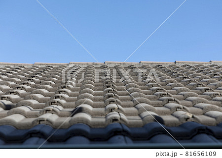 Grey terracotta roof tiles in a line on a roof Grey terracotta roof tiles in a line on a roof 81656109