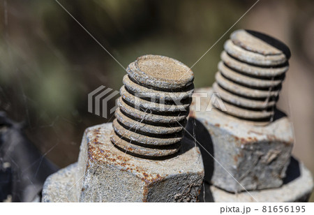 Photograph of the thread of a rusty galvanised bolt Photograph of the thread of a rusty galvanised bolt 81656195