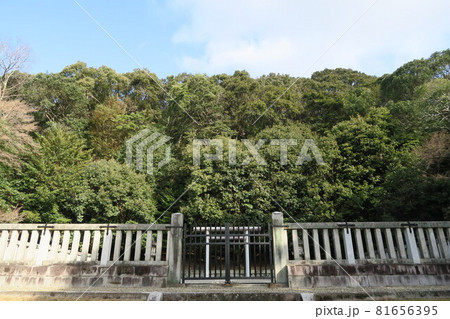 佐保山南陵 81656395