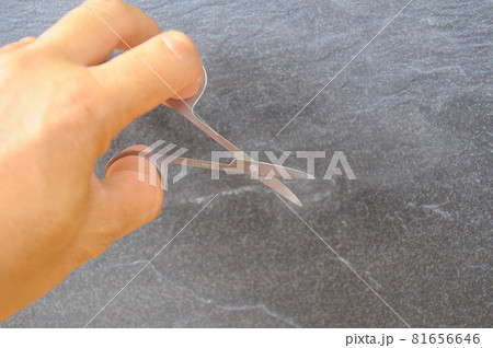 Hands are using small scissors Hands are using small scissors 81656646
