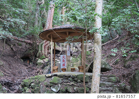 春日山原始林～中水谷休憩舎～ 81657557