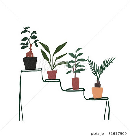 観葉植物 ガジュマル ストレチアオーガスタ ナギ ソテツ プランツスタンド 背景白のイラスト素材