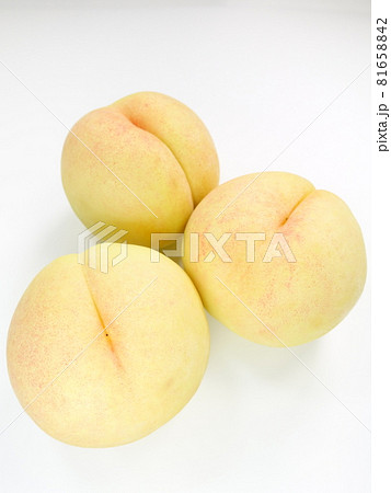 白桃　桃　もも　モモ　ピーチ 81658842