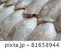 朝採れ小鯛　三枚おろし 81658944