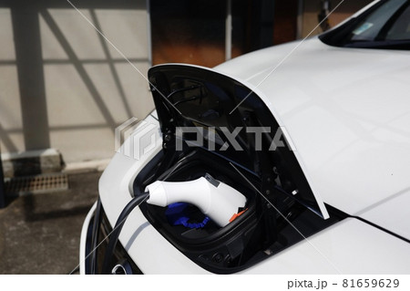 電気自動車の充電ケーブルの接続 電気自動車の充電ケーブルの接続 81659629