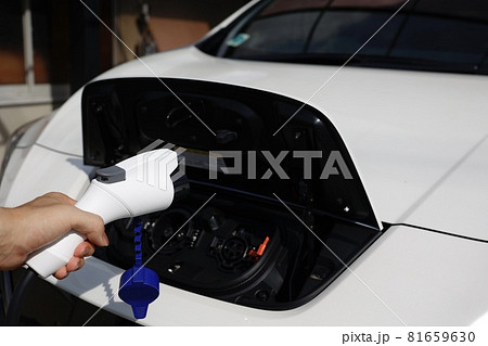 電気自動車の充電ケーブルの接続 81659630