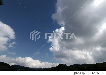 鳥取 四季の散歩 秋 恩原高原 鳥取 四季の散歩 秋 恩原高原 81659792